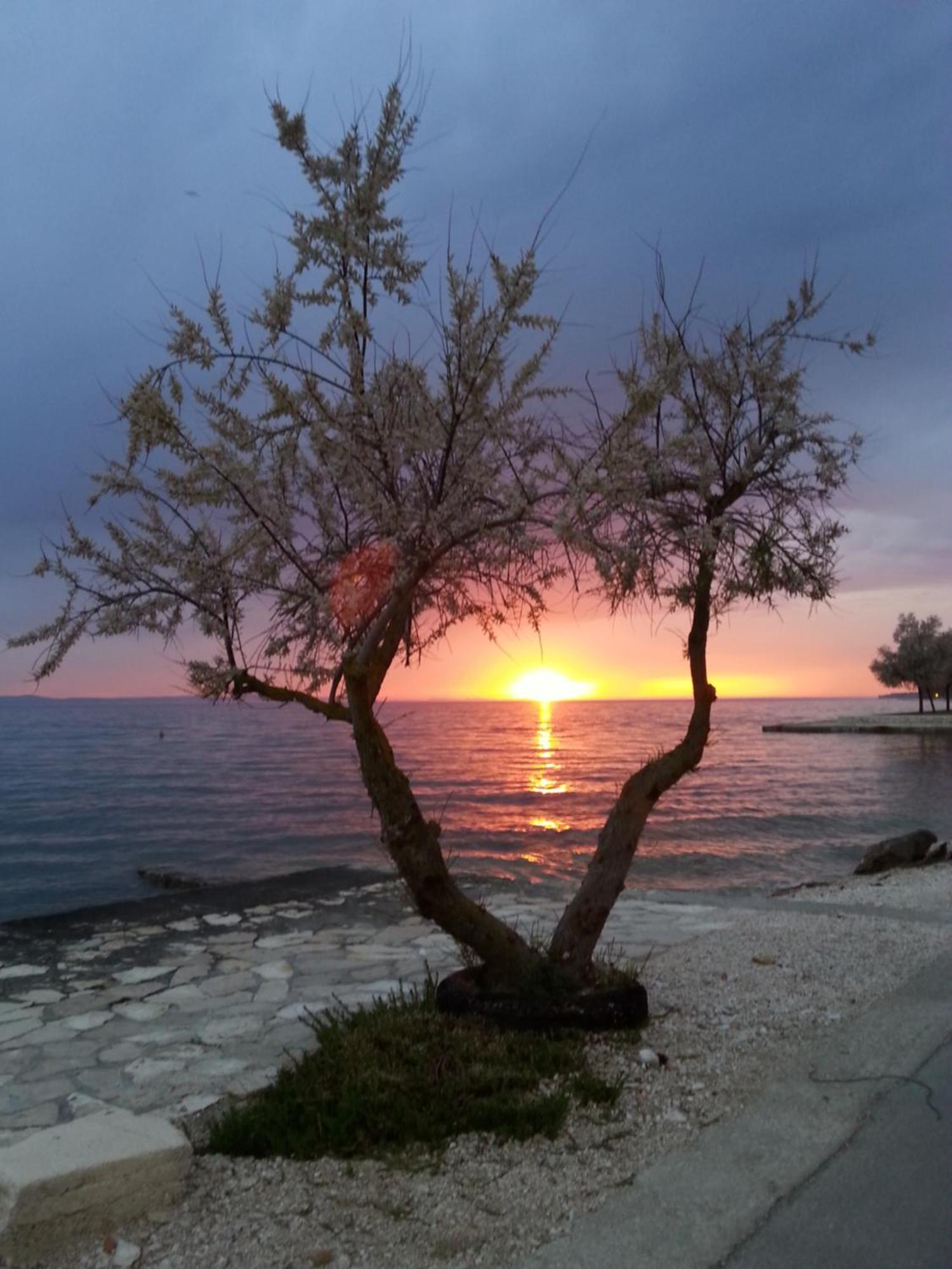 Apartmani Basioli Zadar Luaran gambar